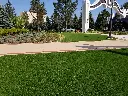 20190728_102725.webp